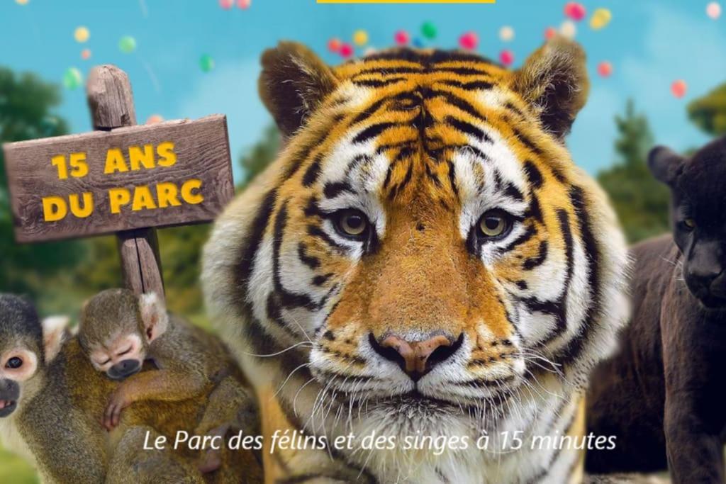 Cocon A La Campagne - Disney 20 Min - Paris 40 Min - 2 Terrasses Dammartin-sur-Tigeaux Exterior foto